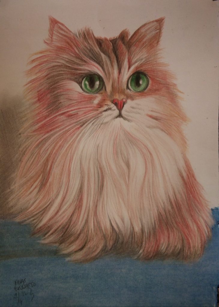 endik asto