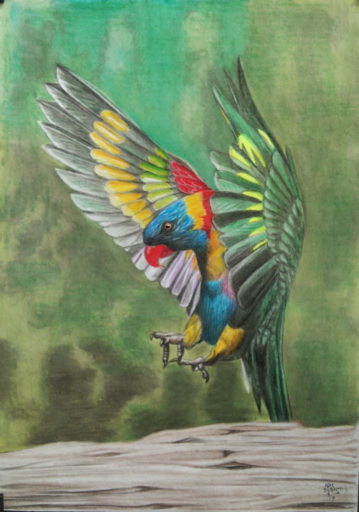 endik asto
